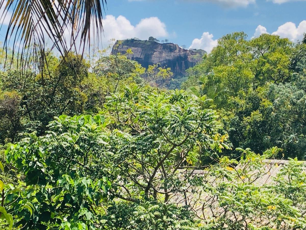 Sigiri Liya Rest Hotel Sigiriya Luaran gambar